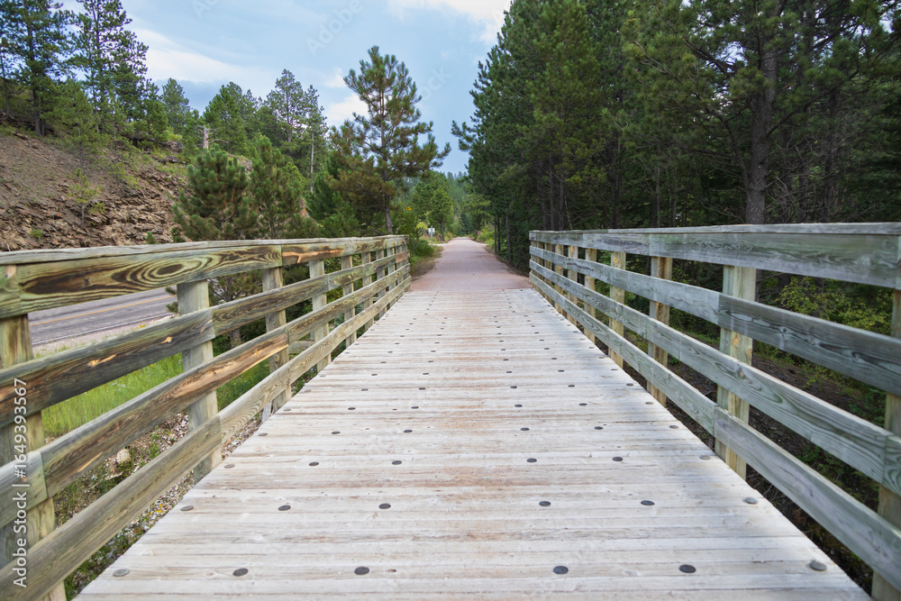 Fototapeta premium Bridge on the George S. Mickelson trail, South Dakota