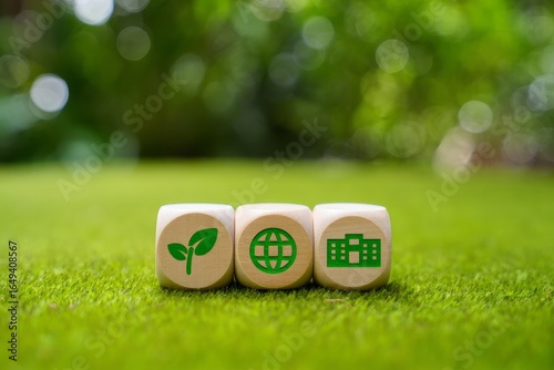 Sustainable Development Concept with Wooden Blocks on Green Grass