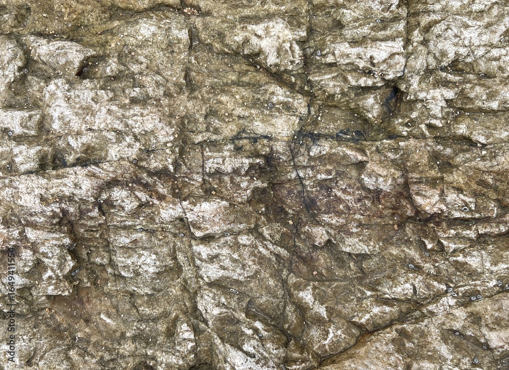 Fototapeta premium A close-up view of textured rock surfaces displaying intricate patterns and natural colors, highlighting geological features.