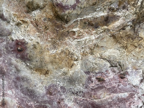 The image depicts a textured rock surface with various shades of gray, beige, and purple, showcasing natural patterns and mineral formations.
