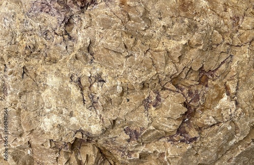 A close-up view of a textured, cracked brown rock surface, showcasing natural patterns and mineral formations.