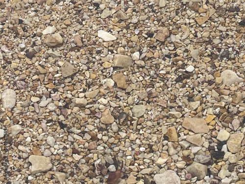 A close-up view of a variety of small, natural stones and gravel, showcasing different colors and textures on the ground.