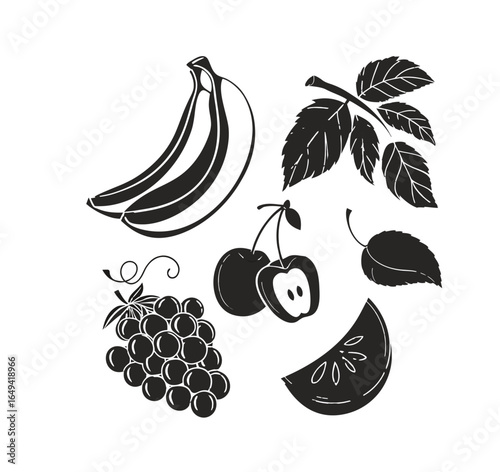 vector illustration of fruits
