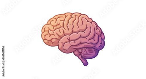 Human brain icon, Mind anatomy, intelligence symbol, knowledge neurology, medical human body part vector graphic elements