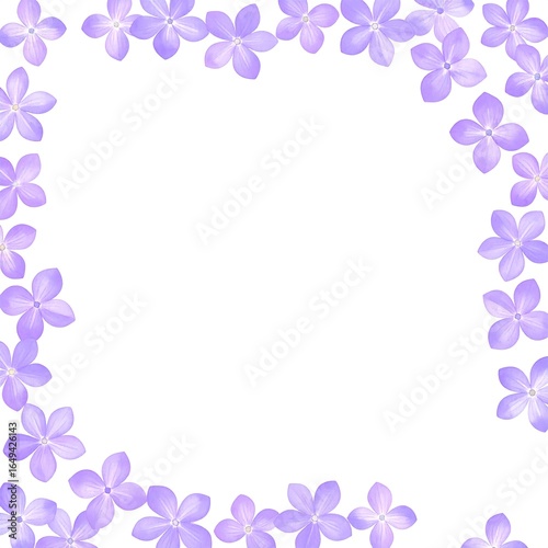 Light purple flower border on white background