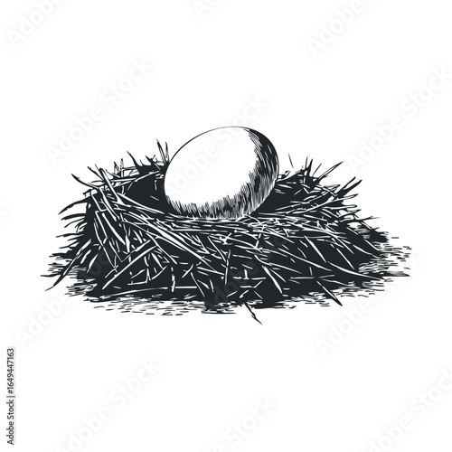Detailed illustration of a bird nest with egg on white background