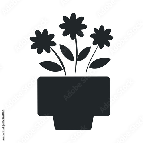 Silhouette of blossoming flowers in a pot