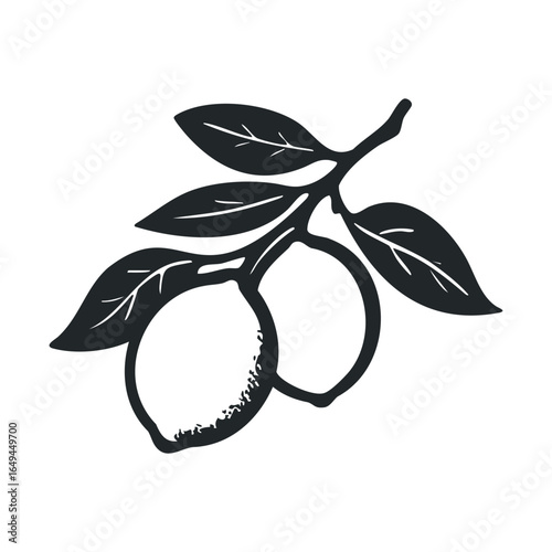 Black and white lemon branch illustration with leaves