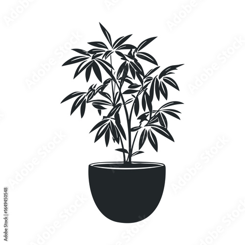 Elegant silhouette of potted plant with lush leaves