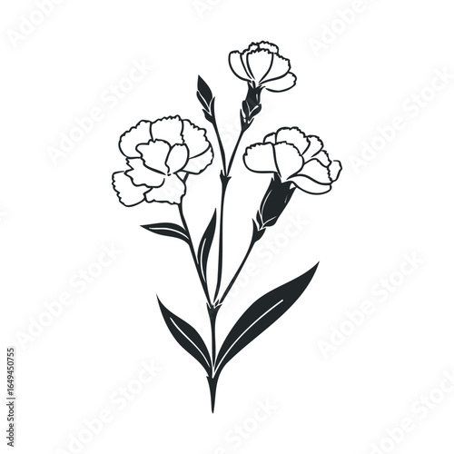 Black and white carnation illustration with detailed floral design