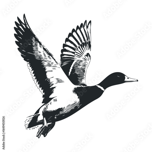Black and white illustration of a flying duck with outstretched wings