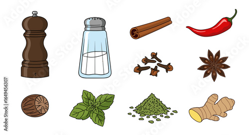 Illustration showing various spices including pepper mill salt shaker cinnamon cloves and more spices on white