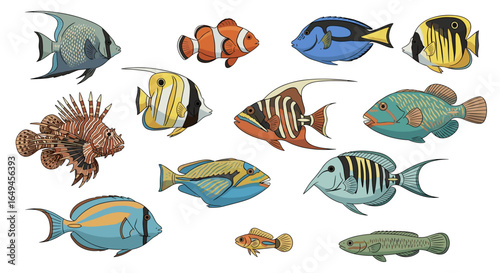 Collection of various colorful tropical fish species including clownfish and angelfish on white background