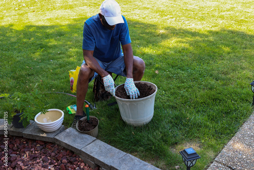 Obraz na plátne A black man potting a citronella  plant into a planter