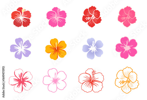 Set of flower icons isolated on white. Vector hibiscus flowers icon sheet with variating details and styles. Red, pink, purple, yellow cartoon blossoms.