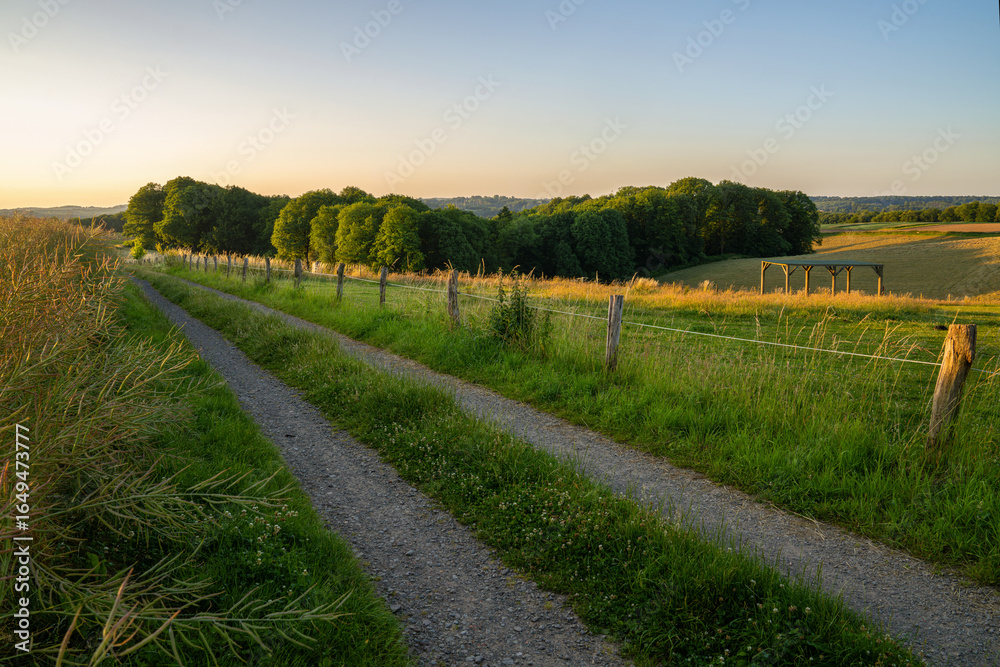 Obraz premium Landscape close to Burscheid, Bergisches Land, North Rhine Westphalia, Germany