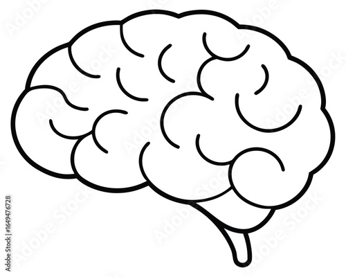 A clear outline illustration of the human brain, presented on a white background. This iconic image symbolizes intelligence, thought, memory, and cognitive function for various conceptual designs.