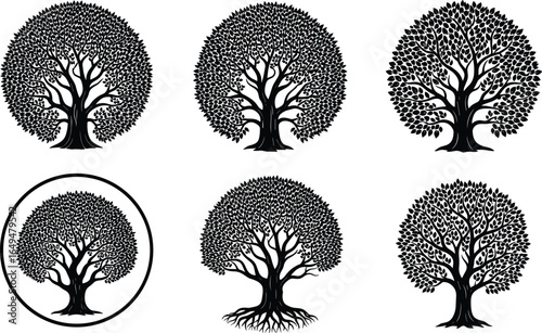 Intricate tree silhouettes, nature illustration, vector graphic, decorative art, black and white trees, high-quality image, Adobe Stock design, detailed tree artwork