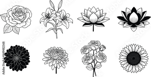 Black and white flower illustration, rose, lily, lotus, dahlia, chrysanthemum, sunflower, botanical art, sketch, drawing, floral design, nature, outline, tattoo style, vector, clipart