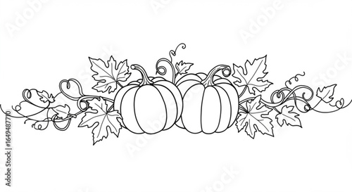 Pumpkin vine and leaves border isolated on white background