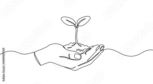 Hand holding a small plant sprout isolated on white background