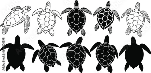 Sea turtle vector illustration, black and white turtle silhouette, marine life graphic, ocean wildlife art, turtle shell pattern design