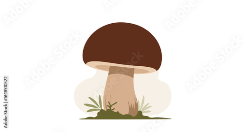 Edible mushroom growth and forest ecosystems