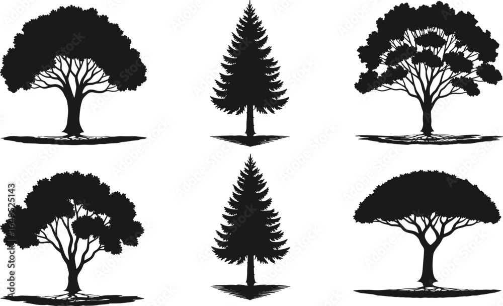 Fototapeta premium Six diverse black tree silhouettes with varied shapes, branching patterns, and shadows, isolated vector design for botanical, educational, and creative projects