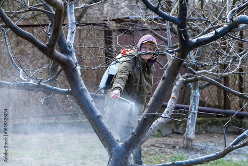A woman works in the spring garden and spray with a rechargeable sprayer chemicals against pests