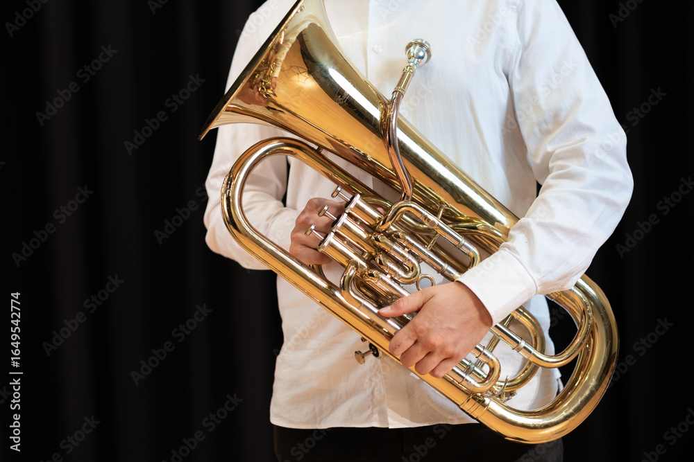 Fototapeta premium playing the horn