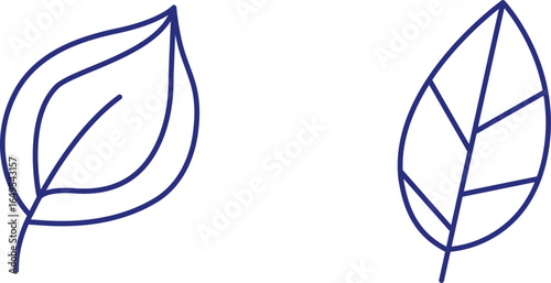 Botanical Simplicity Two Elegant Leaf Outlines in Indigo A Minimalist Nod to Nature's Beauty and Organic Forms In Clean Line Art