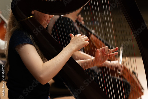 Tableau sur toile hands playing the harp