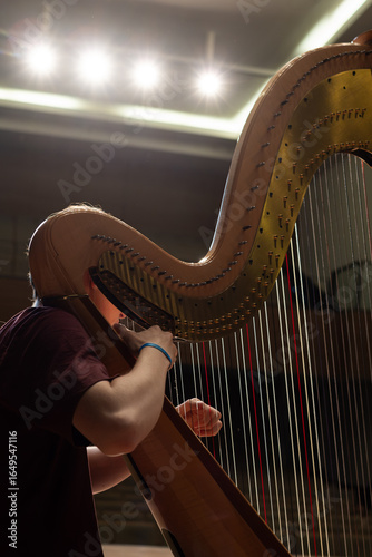 musician playing the harp