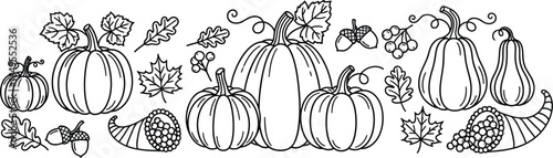Autumn harvest border with pumpkins, gourds, and cornucopias isolated on white background