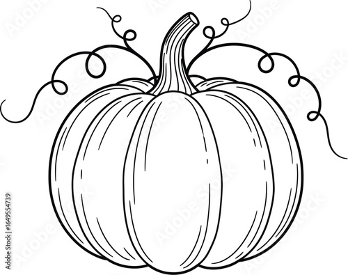 Elegant hand-drawn pumpkin illustration for autumn designs