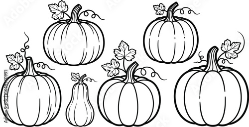 Collection of pumpkins and gourds isolated on white background