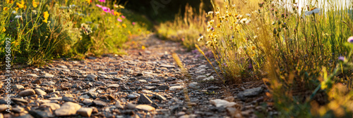 A winding pathway lined with vibrant wildflowers glows in the warm light of sunset, inviting exploration and connecting viewers to the tranquil essence of nature