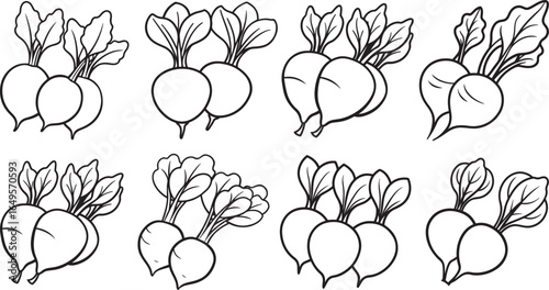 set of radishes line art, coloring book page line art drawing, vector and illustration