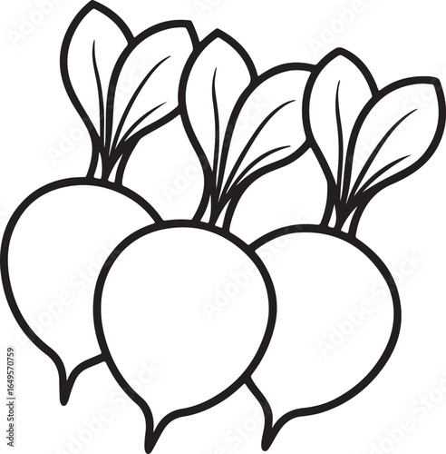 radishes line art, coloring book page line art drawing, vector and illustration
