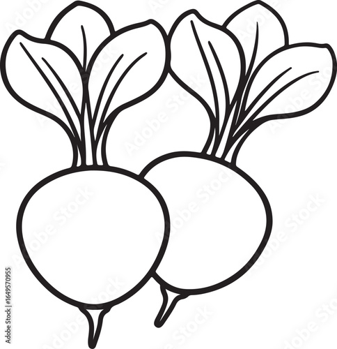 radishes line art, coloring book page line art drawing, vector and illustration