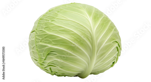 Isolated Green Cabbage