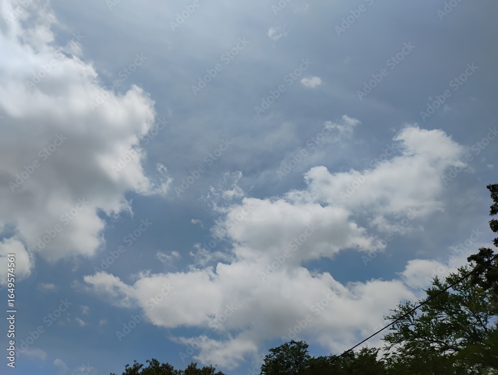 Obraz premium clouds in the sky