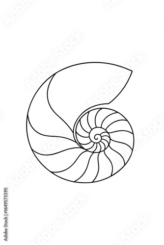 Minimalist single line drawing a nautilus shell spiral marine ocean