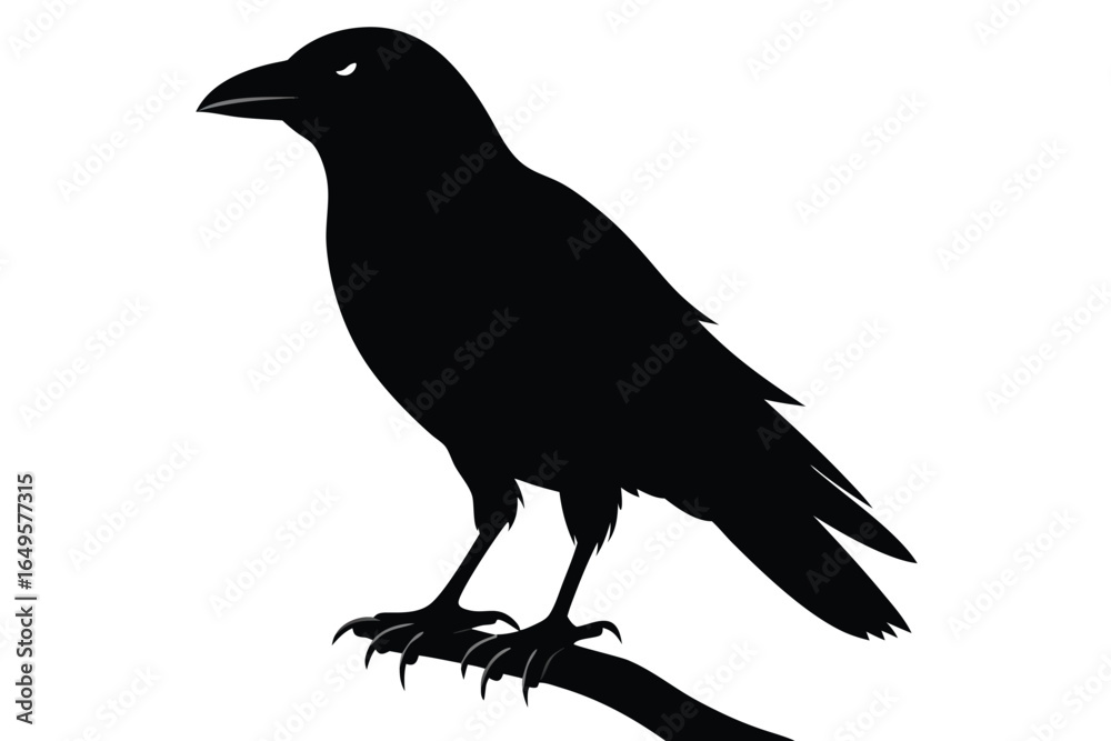 Fototapeta premium Silhouette of a majestic raven perched on a branch against a white background