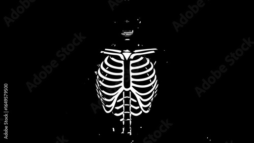 Skeleton torso and skull in black and white with visible rib cage and spinal column design element created with generated ai
