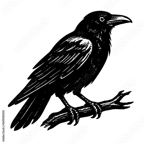 Black and White Illustration of a Crow Perched on a Branch - Detailed Vector of a Raven or Jackdaw in a Vintage Engraving Style.