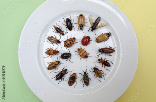 plate of bugs