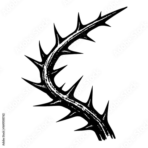 Vintage Thorny Branch Vector Illustration - Distressed Black and White Nature Graphic Design
