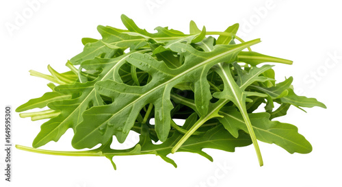 Fényképezés Isolated Arugula