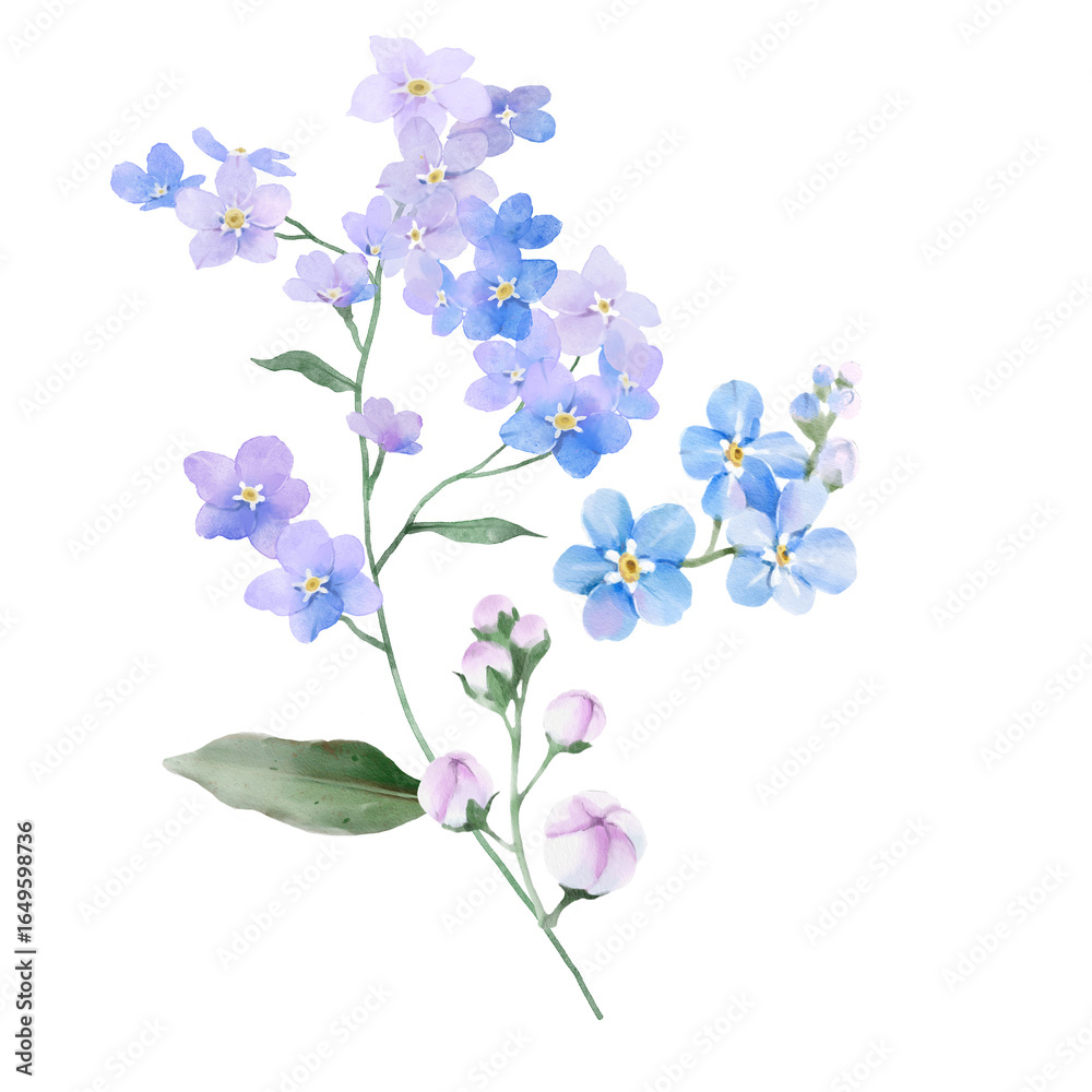 Obraz premium Watercolor Forget Me Not Floral Bouquet Illustration
